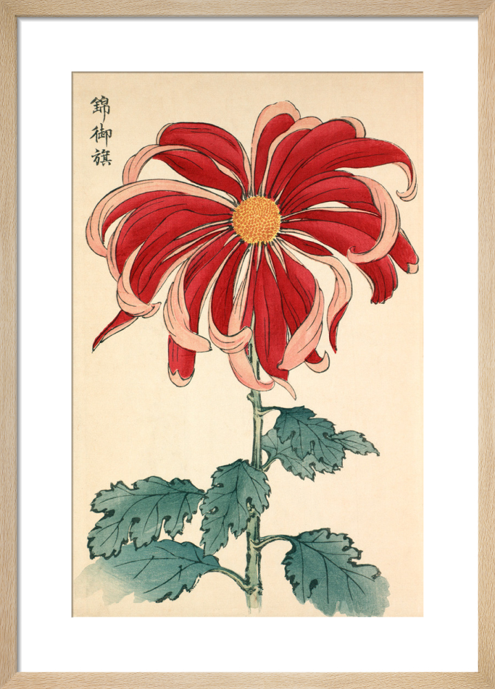 Nishiki No Mihata' Chrysanthemum Art Print by Keikwa Hasegawa