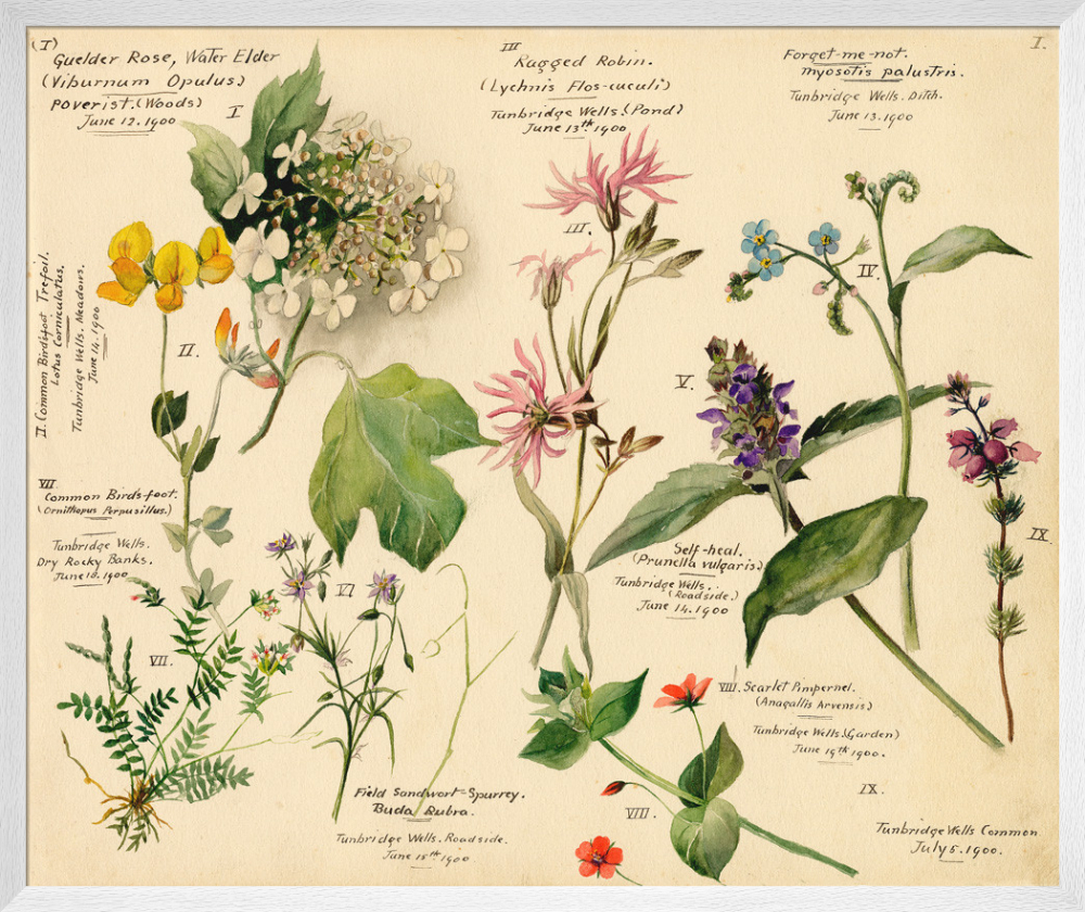 油絵 絵画 【Wild flowers】 油絵 絵画 【Wild flowers】 油絵 絵画 【Wild flowers】 油絵 絵画