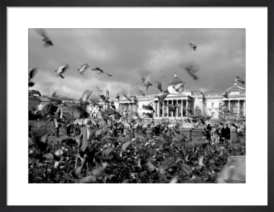 Doubledeckers up to Trafalgar Square - Niki Gorick - Framed art Print main image 1