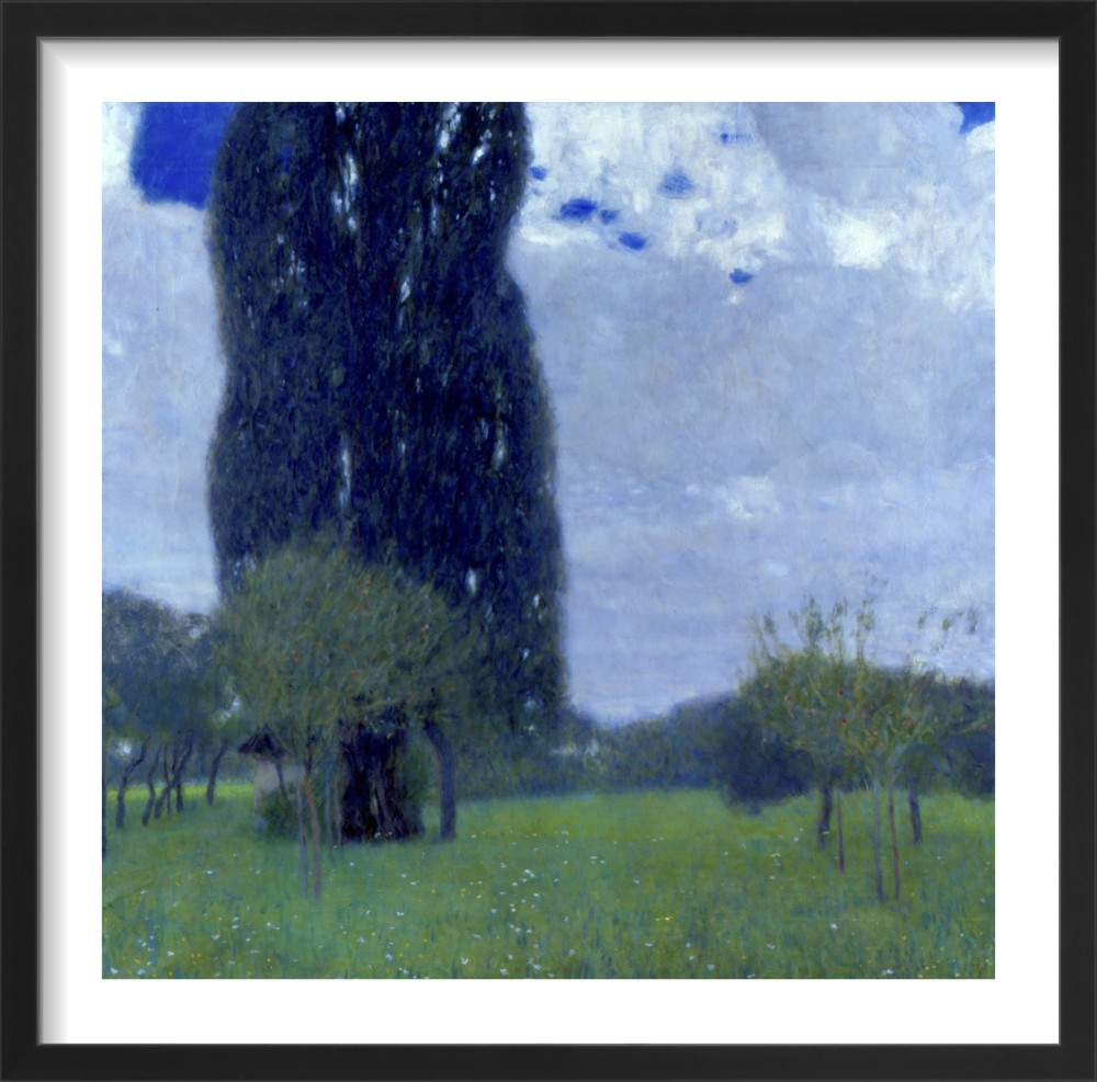 Amazon.com: Gustav Klimt-The Tall Poplar Trees II 1900