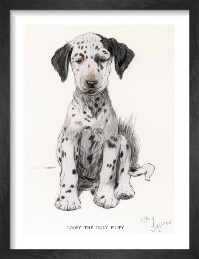 McGaw & King Ugly the Print Aldin Puppy, Loopy Art | Cecil by 1930