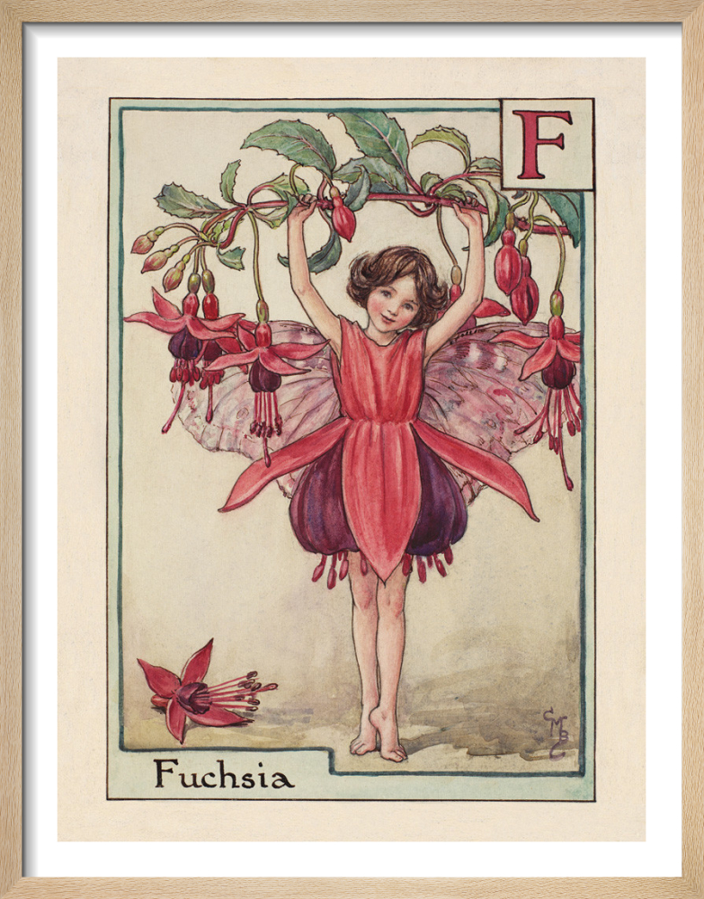Fuchsia Fairy Art Print by Cicely Mary Barker | King u0026 McGaw