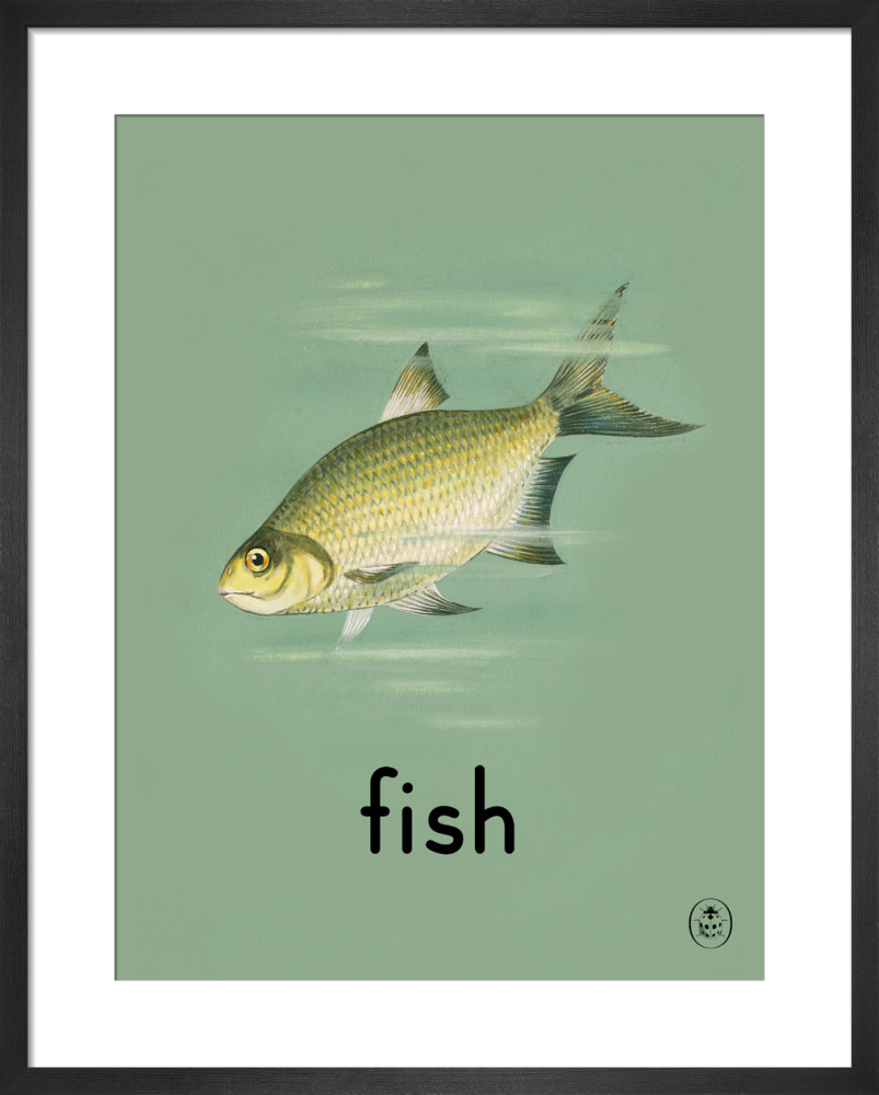 Fish Art Print By Ladybird Books King Mcgaw