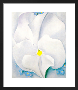 White Rose with Larkspur No. 2, 1927 Art Print by Georgia O'Keeffe ...