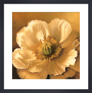 Daisy May - Shyama Ruffell - Framed art Print main image 1