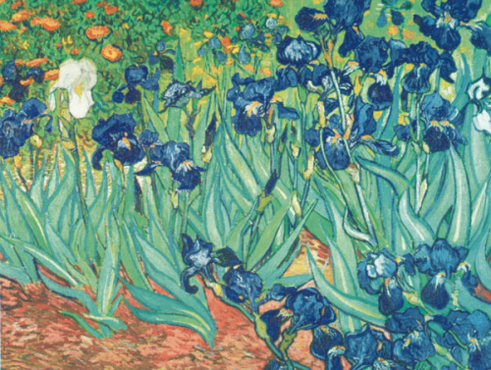 Irises in the Garden Art Print by Vincent Van Gogh | King & McGaw