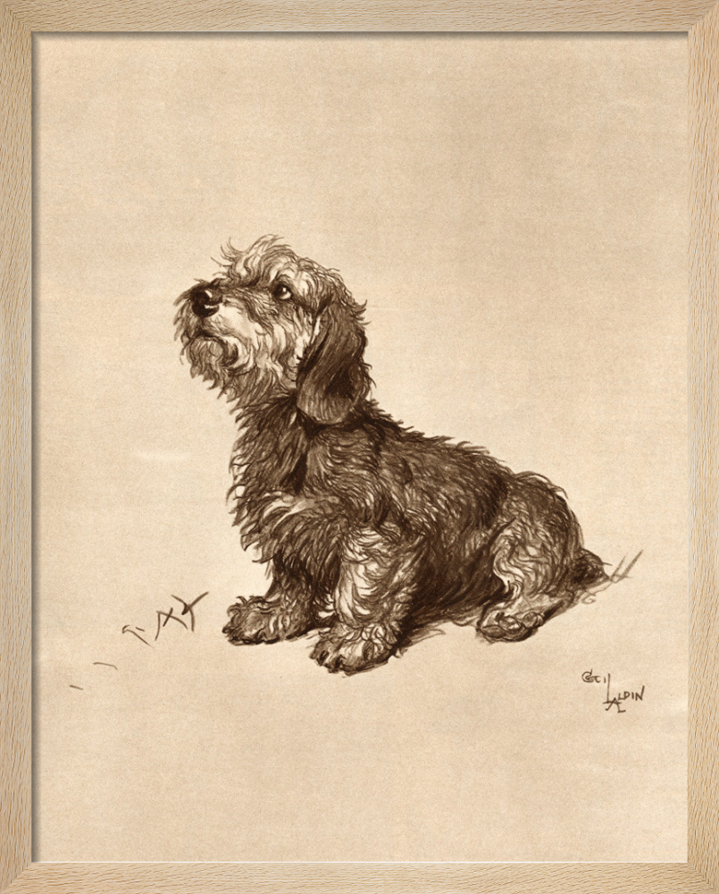 Ticked Off, 1934 Art Print by Cecil Aldin | King & McGaw