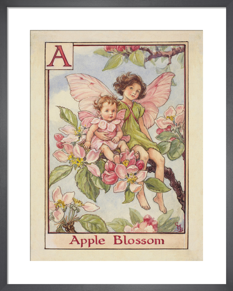 si-436804.jpg_ihcm-50.00_iwcm-