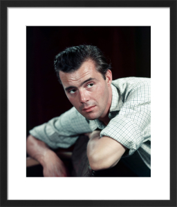 Dirk bogarde age picture