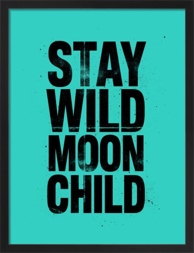 Stay Wild by Nick Cranston