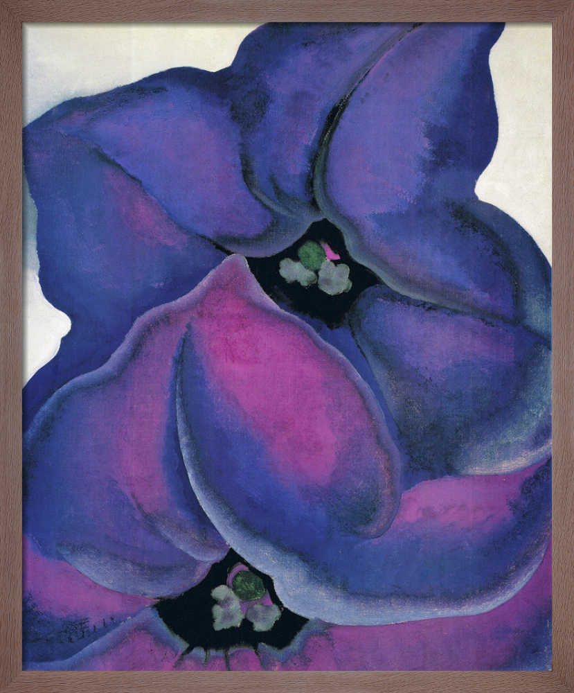 si-438920.jpg_ihcm-45.50_iwcm-