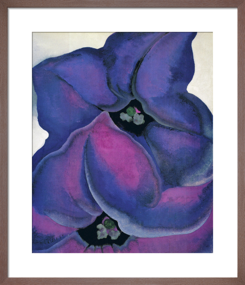 si-438920.jpg_ihcm-45.50_iwcm-