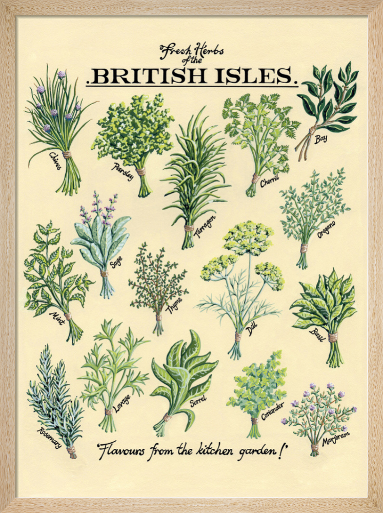 ヴィンテージ　ハーブ　アート　FRESH HERBS ヴィンテージ ハーブ アート FRESH HERBS