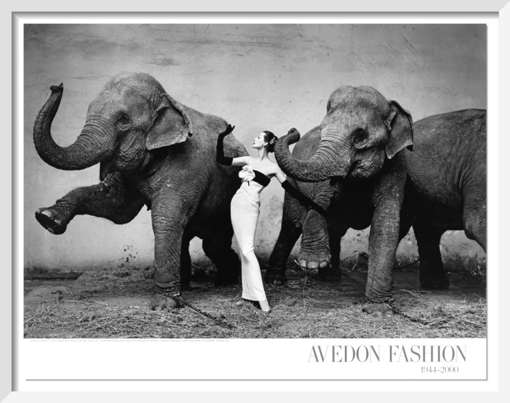 Dovima With Elephants（リチャード アベドン）アートポスター Amazon.com: Dovima with the Elephants, Cirque d'hiver