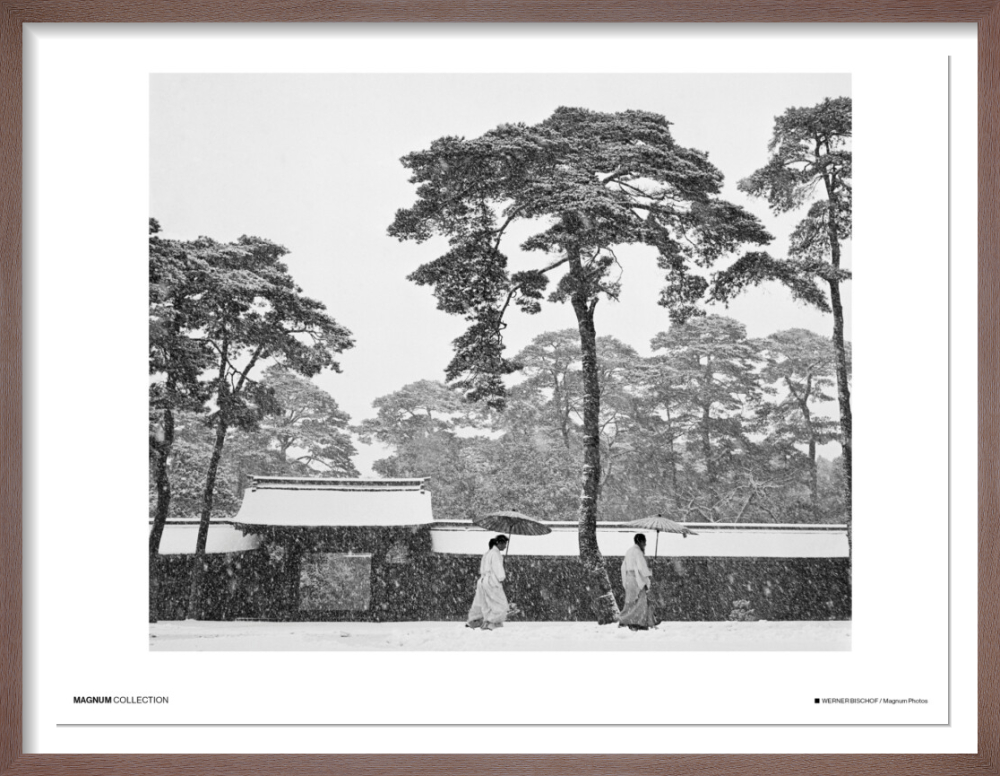 Courtyard of the Meiji Shrine in Tokyo, Japan, 1951 Poster by