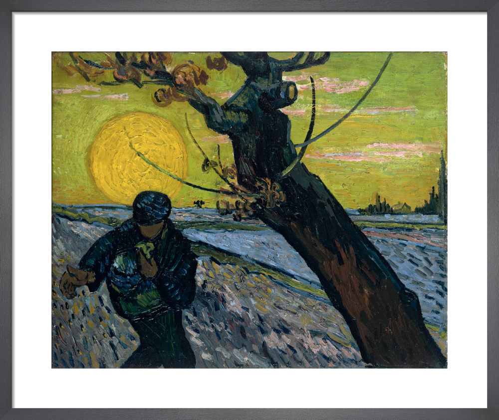 The Sower 1888 Art Print By Vincent Van Gogh King And Mcgaw 6361