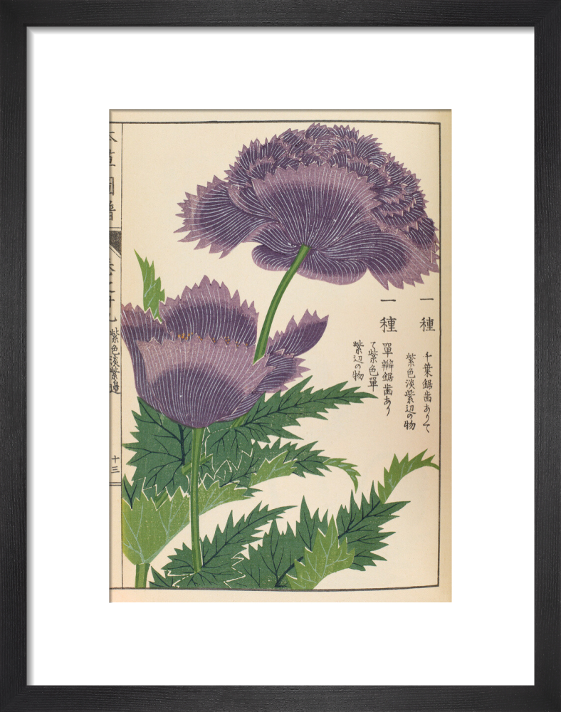 絵画 Flower. プレゼント 絵 「grow」 出産祝い 新築祝い 娘 おしゃれ 玄関