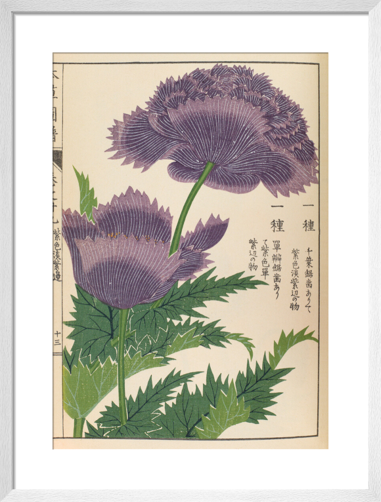 その他 Etrarium 1st ANNIVERSARY ART BOOK PLANT ?media_id=3303970509519512036