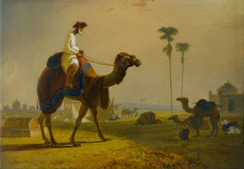 Camel painting online