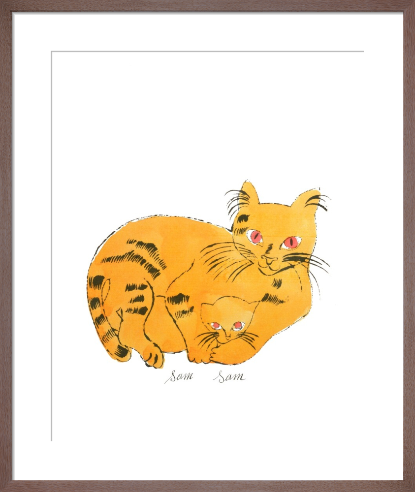 si-470961.jpg_ihcm-50.00_iwcm-