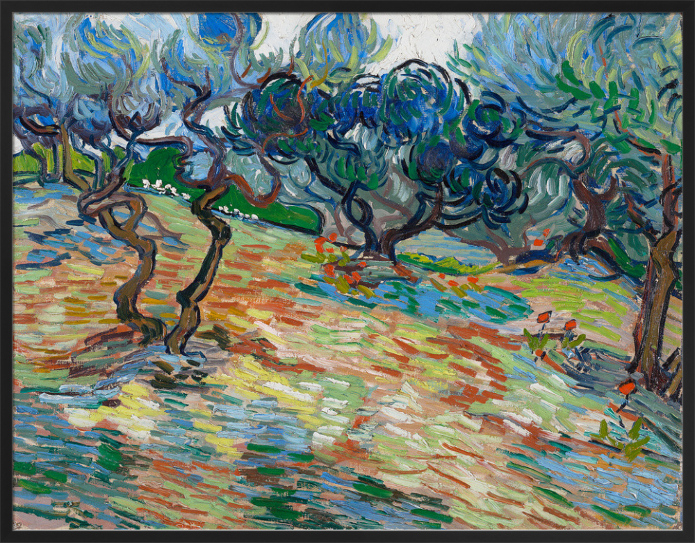 Olive Trees Art Print by Vincent Van Gogh