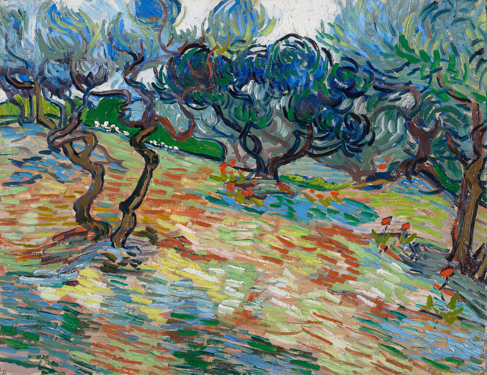 van gogh olive trees print