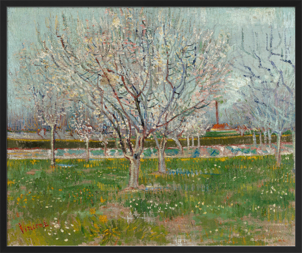 vincent van gogh orchard in blossom