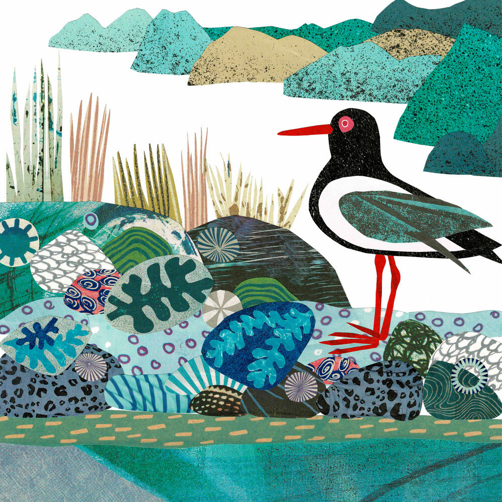 Oystercatcher Art Print by Jane Robbins King & McGaw