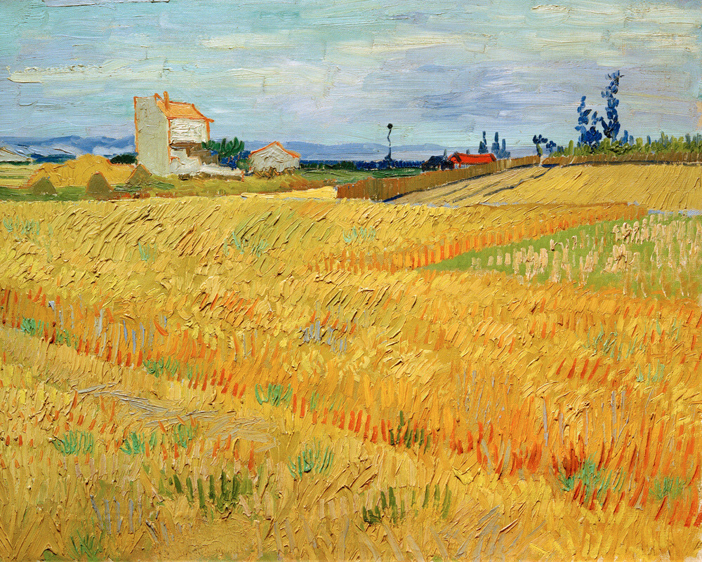 Wheat Field, 1888 Art Print by Vincent Van Gogh