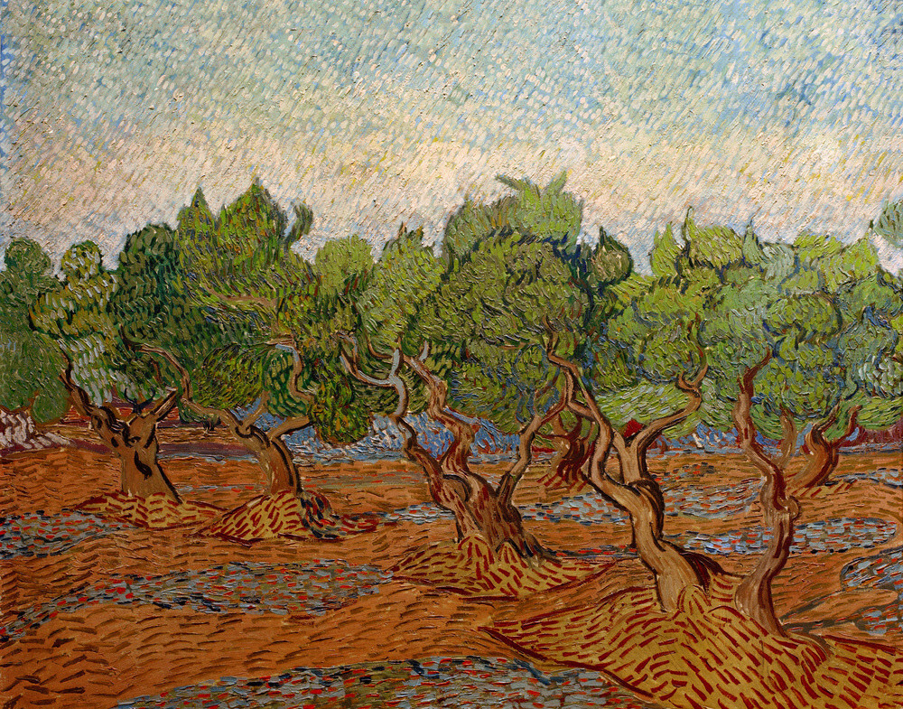 Olive Grove, 1889 Art Print by Vincent Van Gogh | King & McGaw