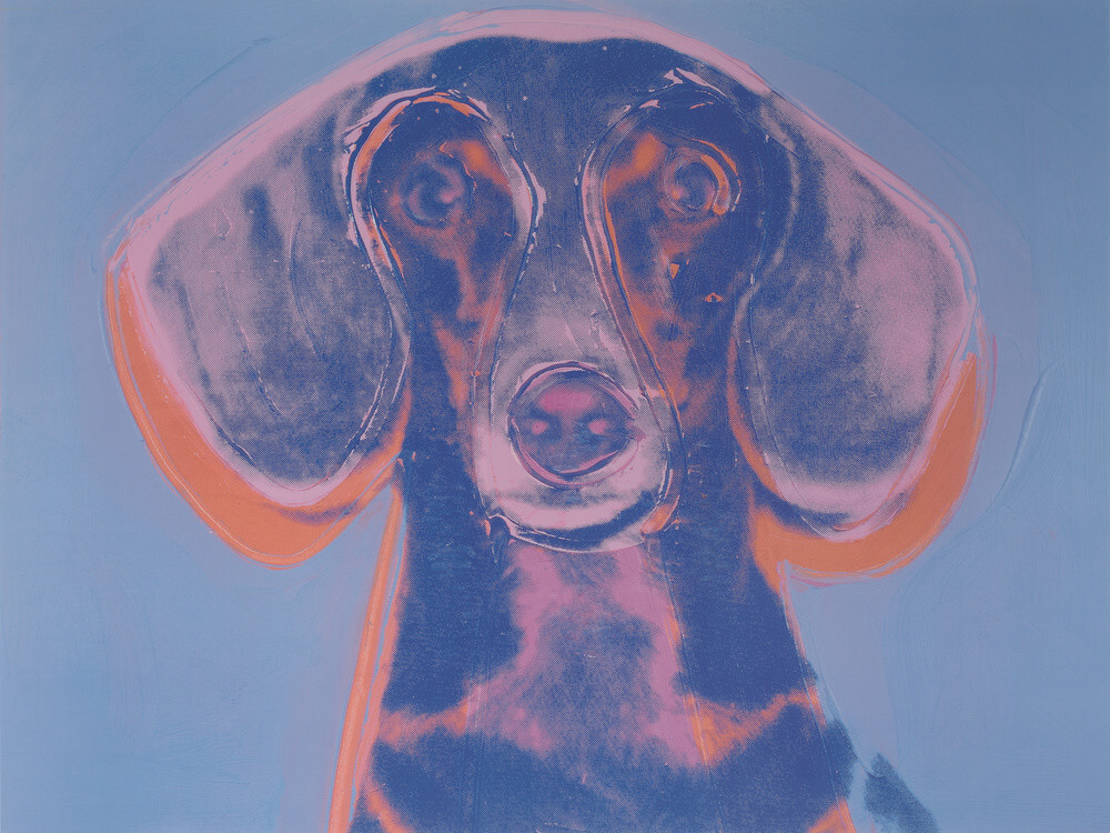 Andy sales warhol dachshund