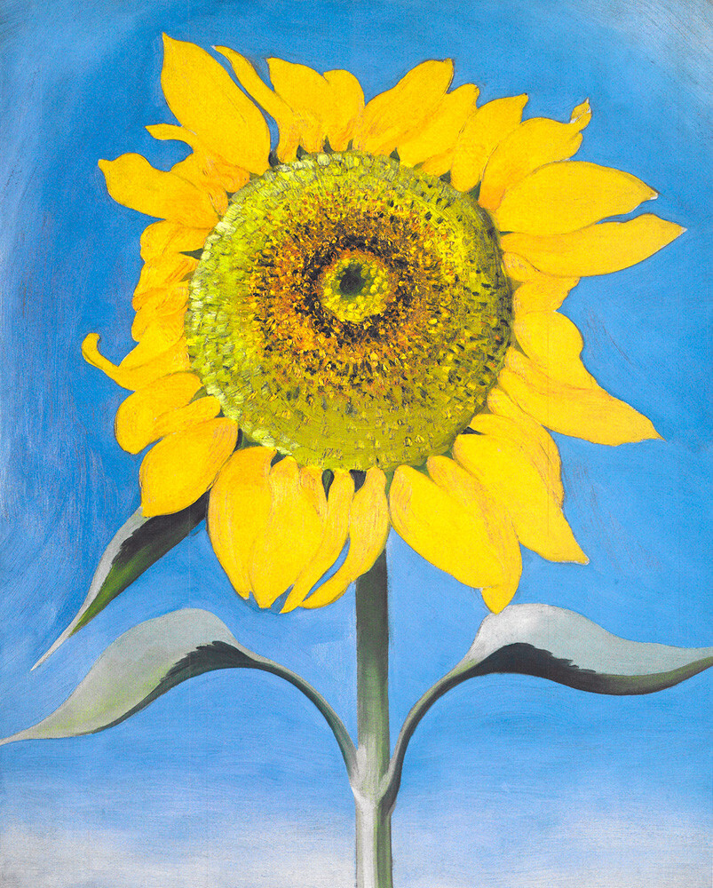 Sunflower, New Mexico, 1935 Art Print by Georgia O'Keeffe | King & McGaw