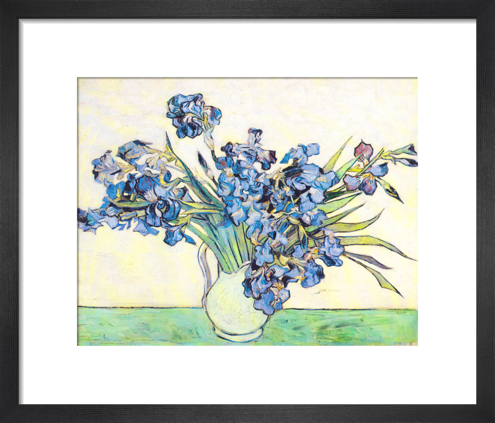 Irises Art Print by Vincent Van Gogh | King & McGaw