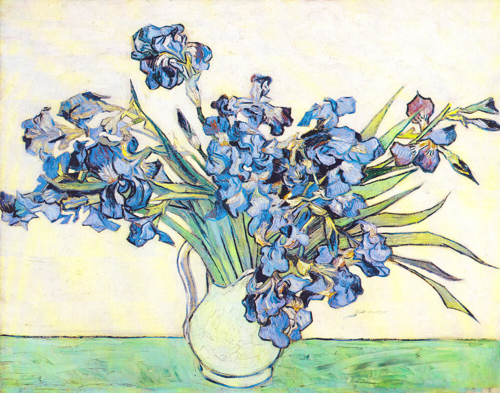 Irises Art Print by Vincent Van Gogh | King & McGaw