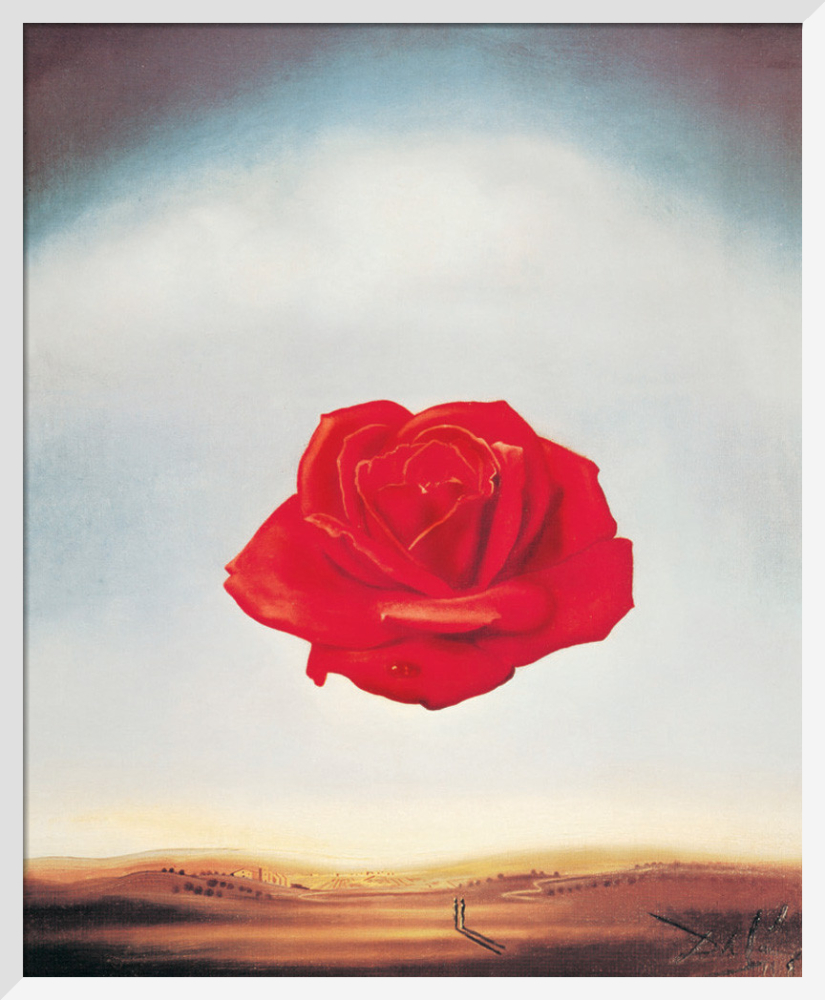 dali rose painting