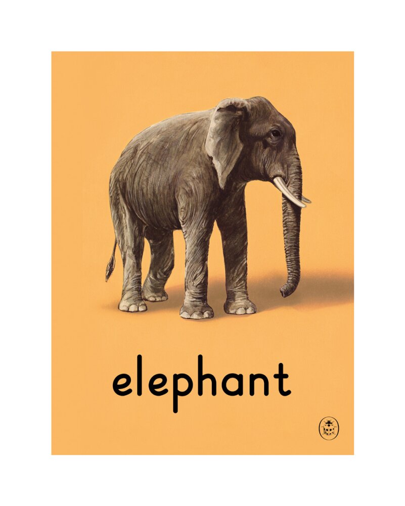 E is for elephant Art Print by Ladybird Books' | King & McGaw