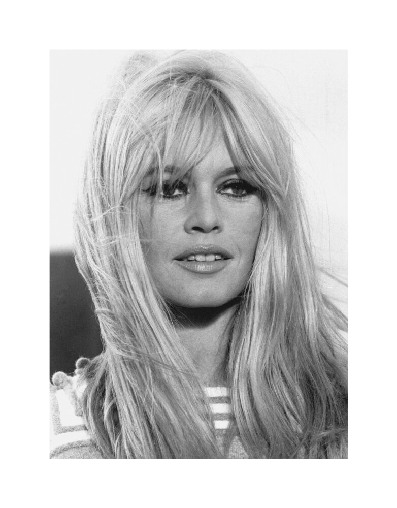 Brigitte Bardot VIES PRIVÉES 写真集 Brigitte Bardot (